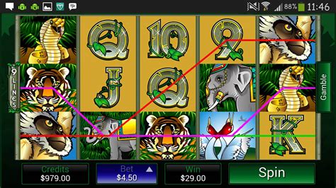 lucky247 test